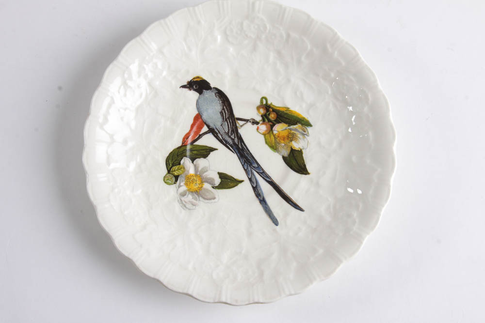 Collection of Alfred Meakin "Birds Of America" English China