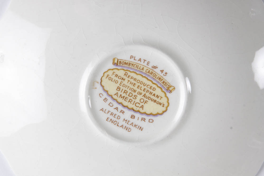 Collection of Alfred Meakin "Birds Of America" English China