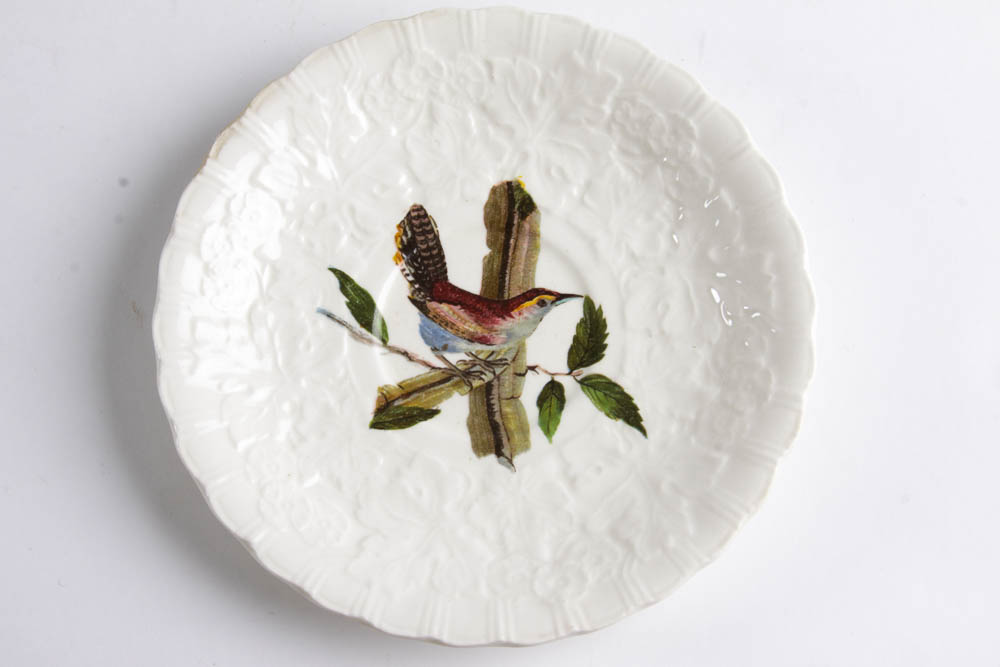 Collection of Alfred Meakin "Birds Of America" English China