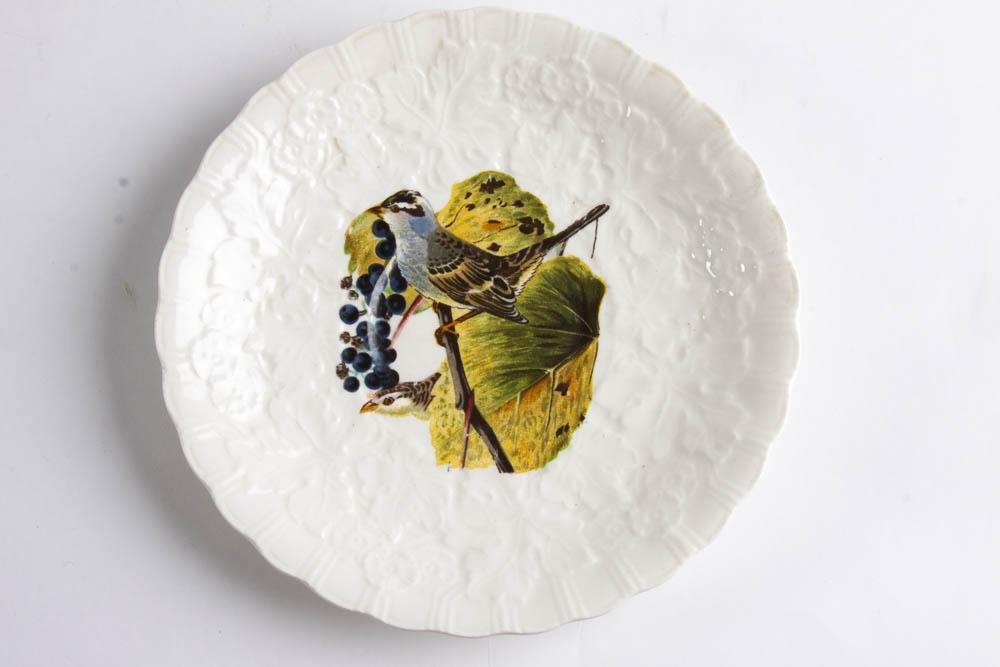 Collection of Alfred Meakin "Birds Of America" English China