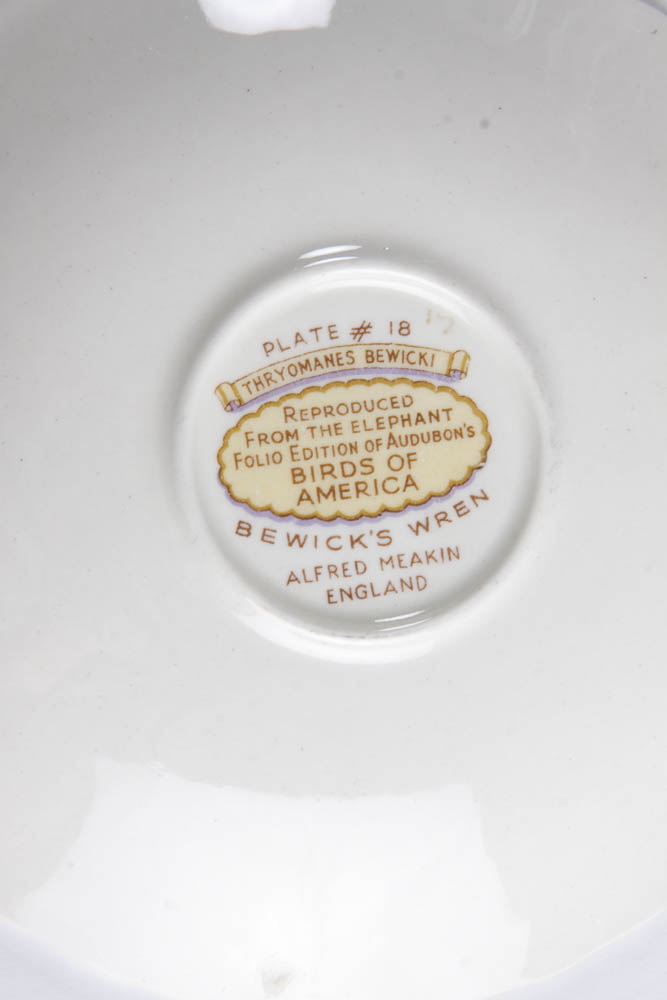 Collection of Alfred Meakin "Birds Of America" English China