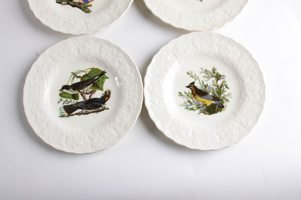 Collection of Alfred Meakin "Birds Of America" English China