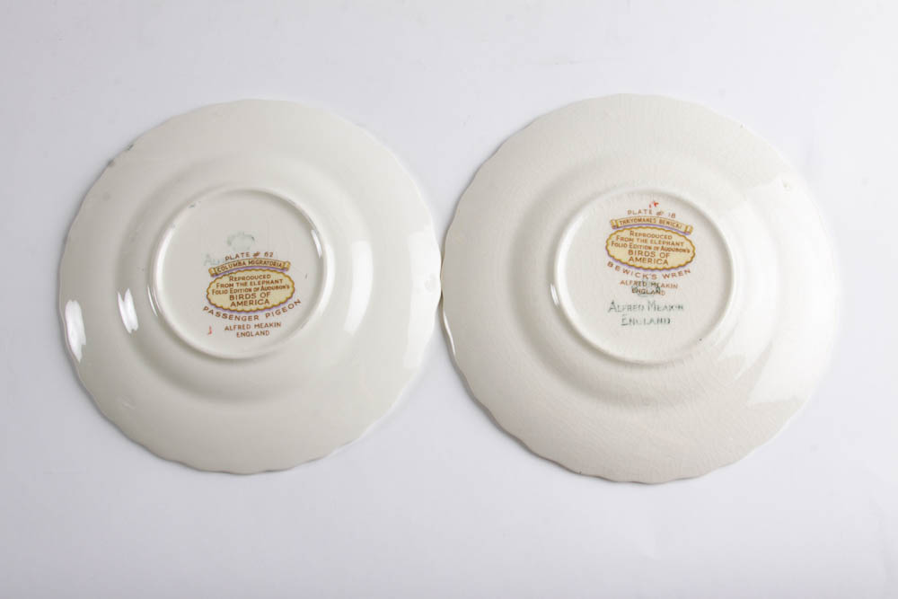 Collection of Alfred Meakin "Birds Of America" English China