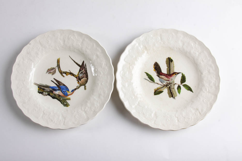 Collection of Alfred Meakin "Birds Of America" English China