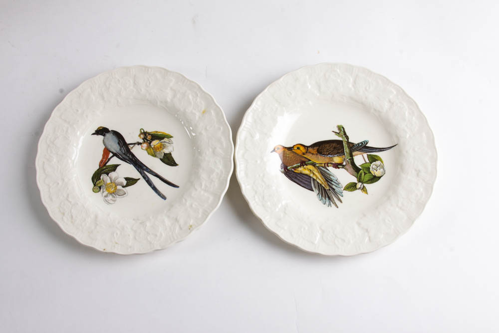 Collection of Alfred Meakin "Birds Of America" English China