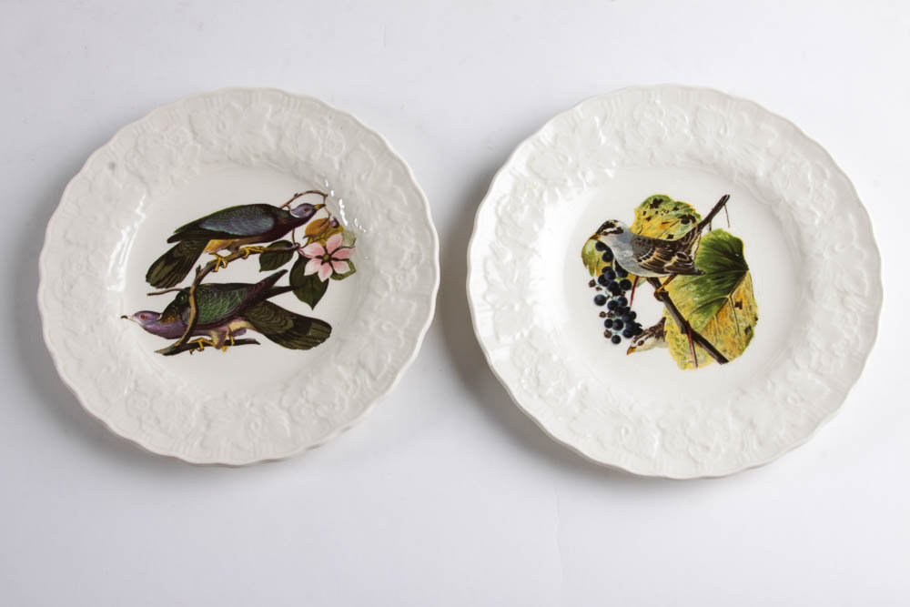 Collection of Alfred Meakin "Birds Of America" English China