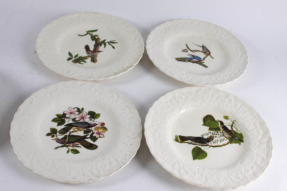 Collection of Alfred Meakin "Birds Of America" English China