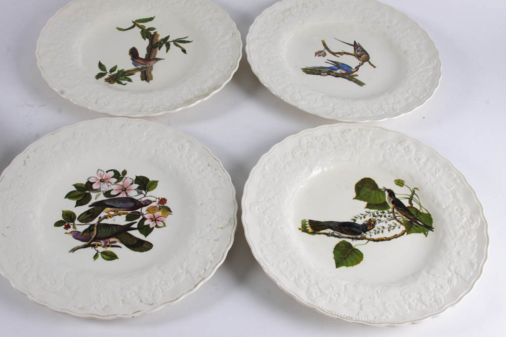 Collection of Alfred Meakin "Birds Of America" English China