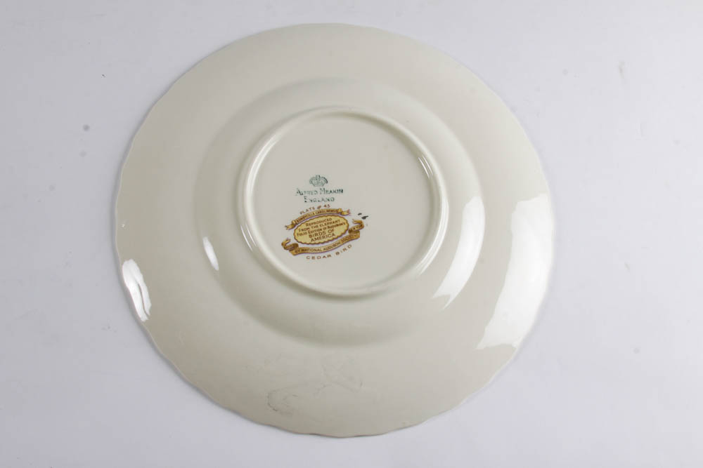 Collection of Alfred Meakin "Birds Of America" English China