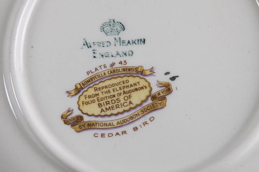 Collection of Alfred Meakin "Birds Of America" English China