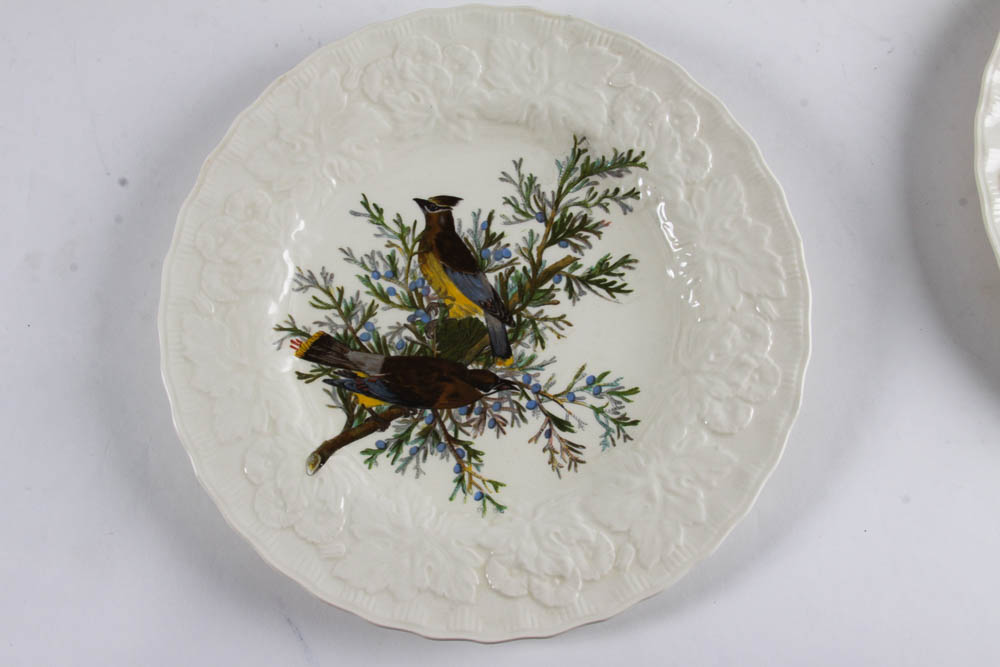 Collection of Alfred Meakin "Birds Of America" English China