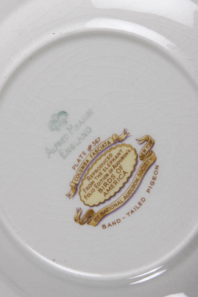 Collection of Alfred Meakin "Birds Of America" English China