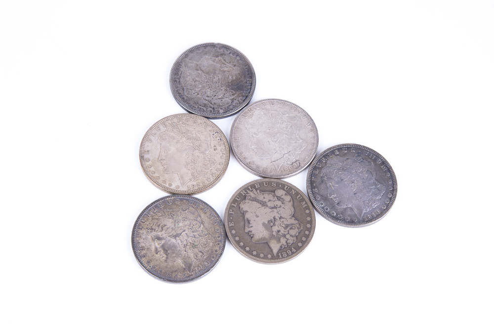 Set of Morgan Silver Dollars