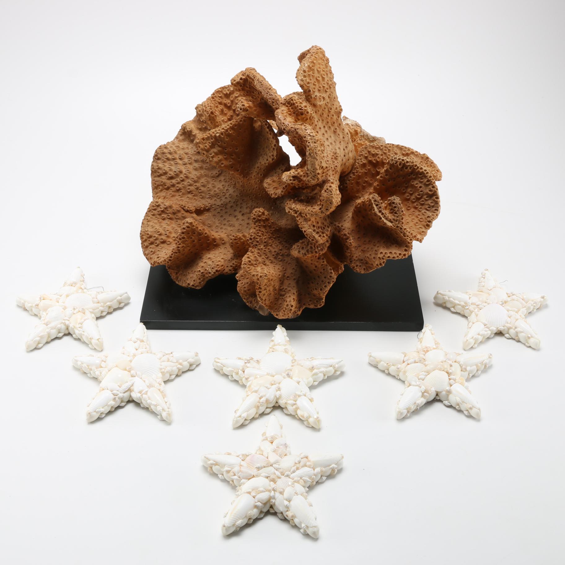 Sea Life Themed Wall Accents