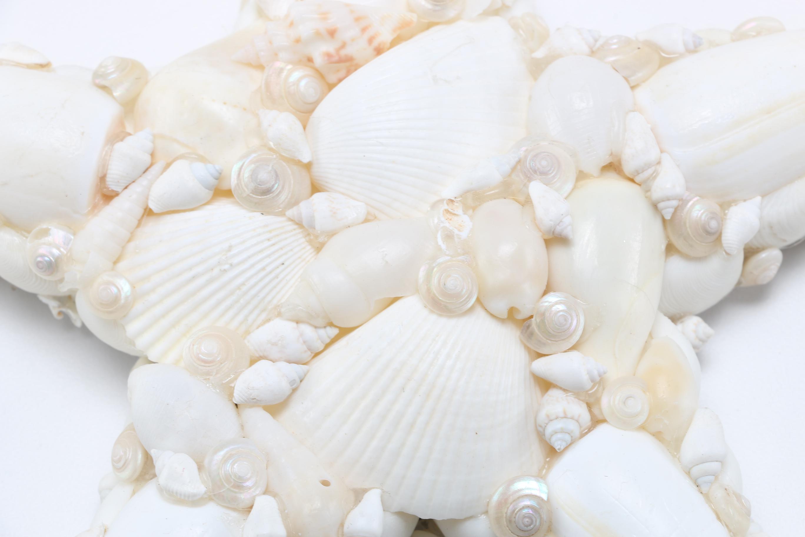 Sea Life Themed Wall Accents