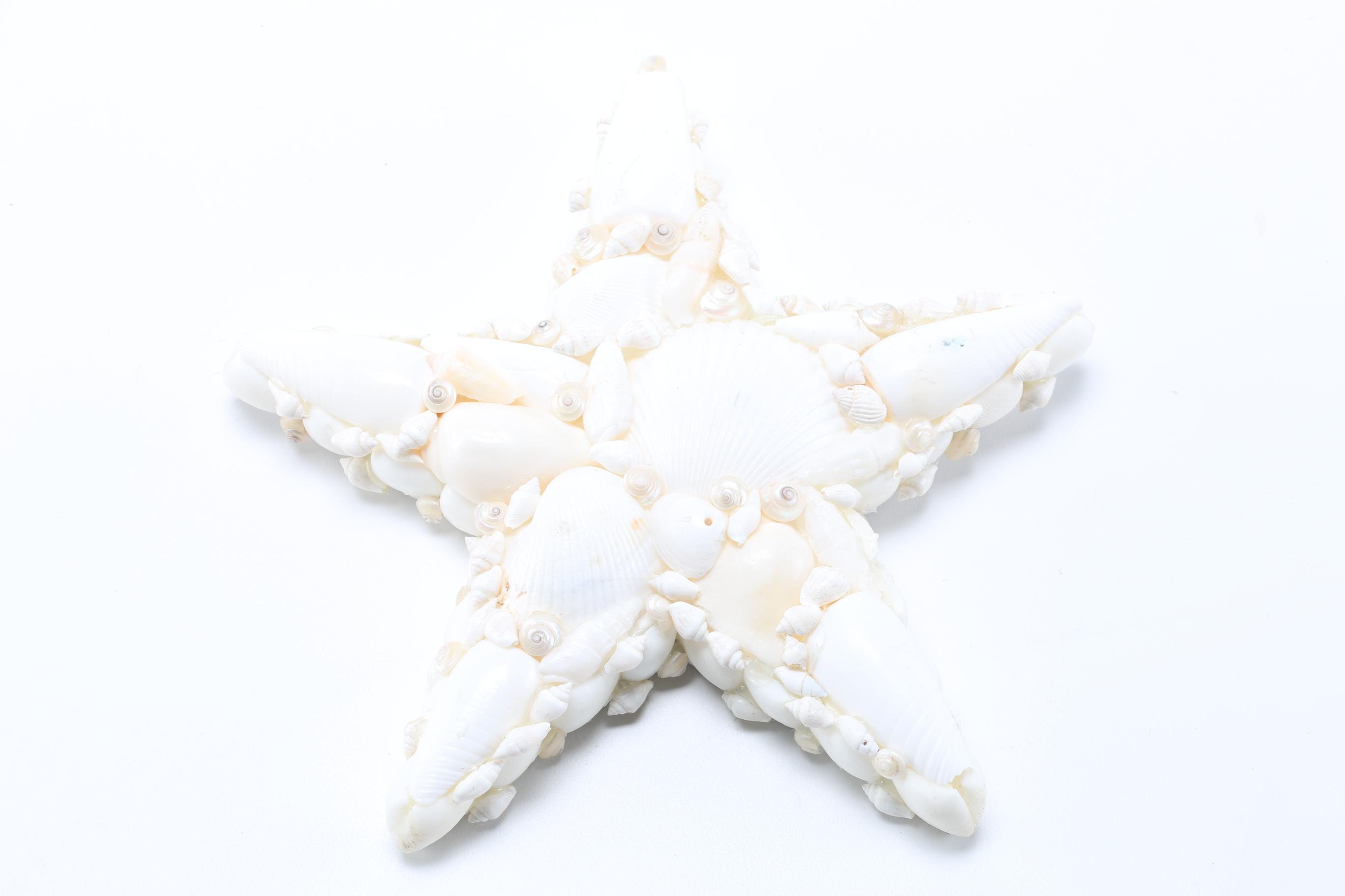 Sea Life Themed Wall Accents