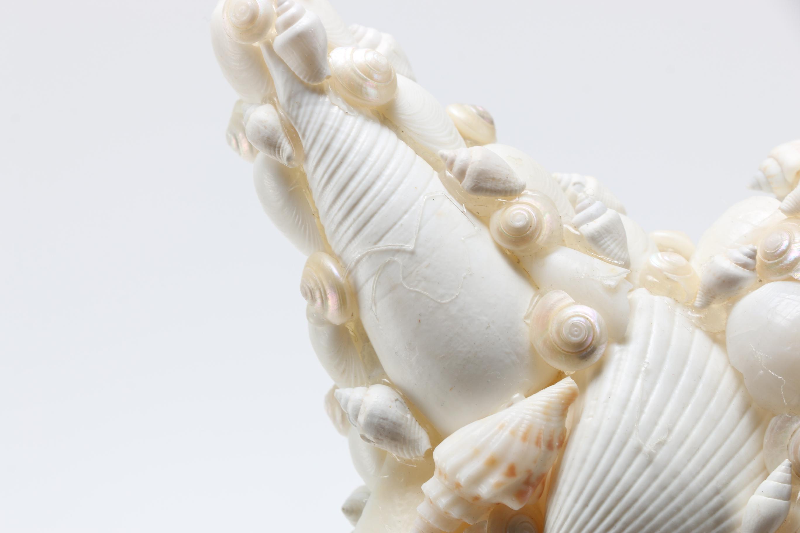 Sea Life Themed Wall Accents