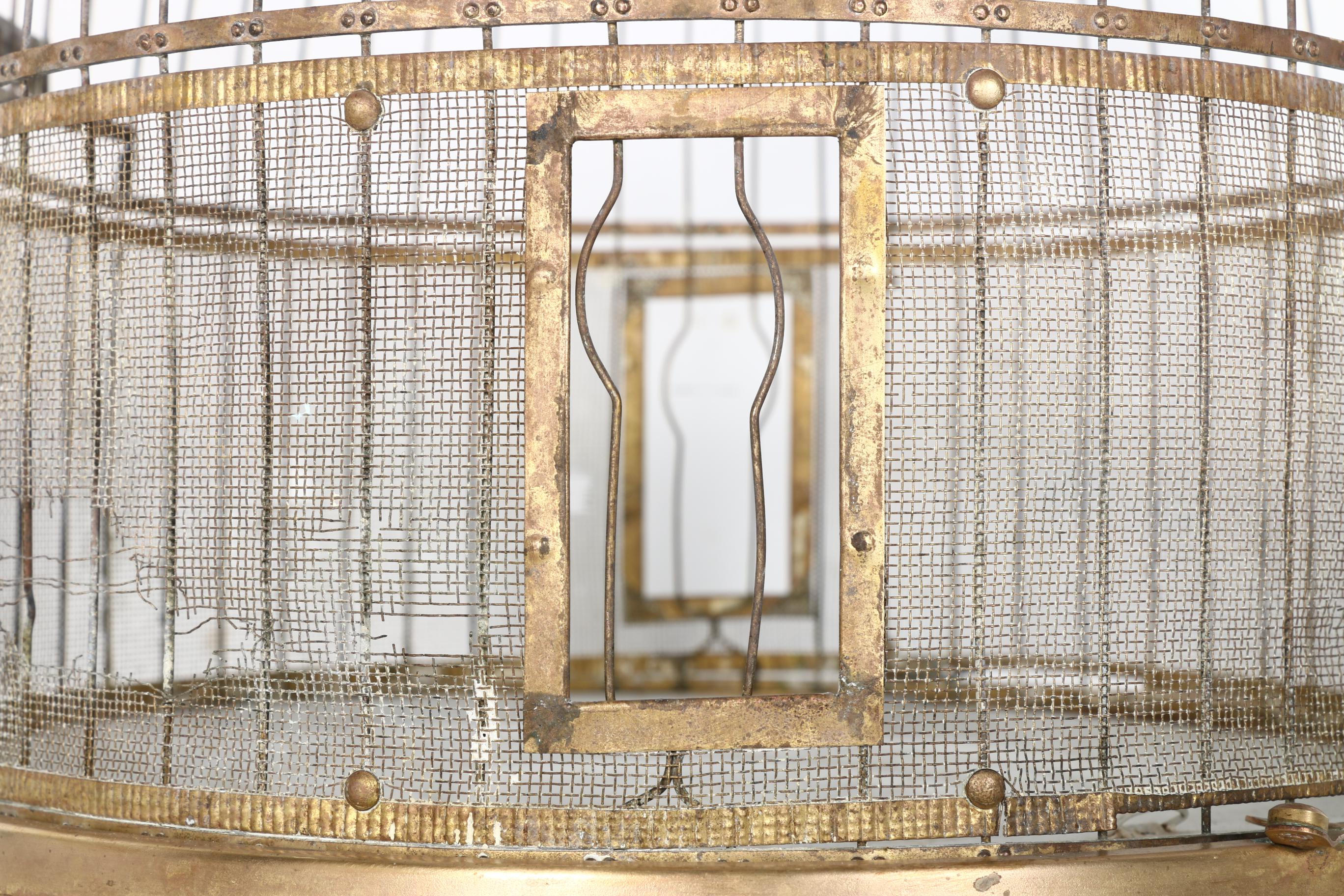 Collection of Bird Cages