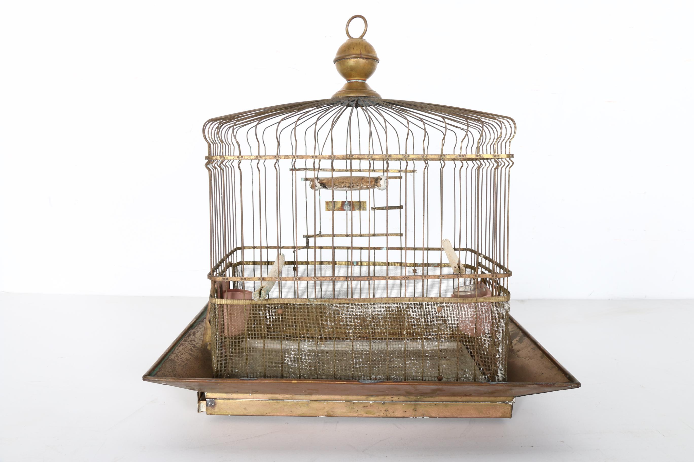 Collection of Bird Cages