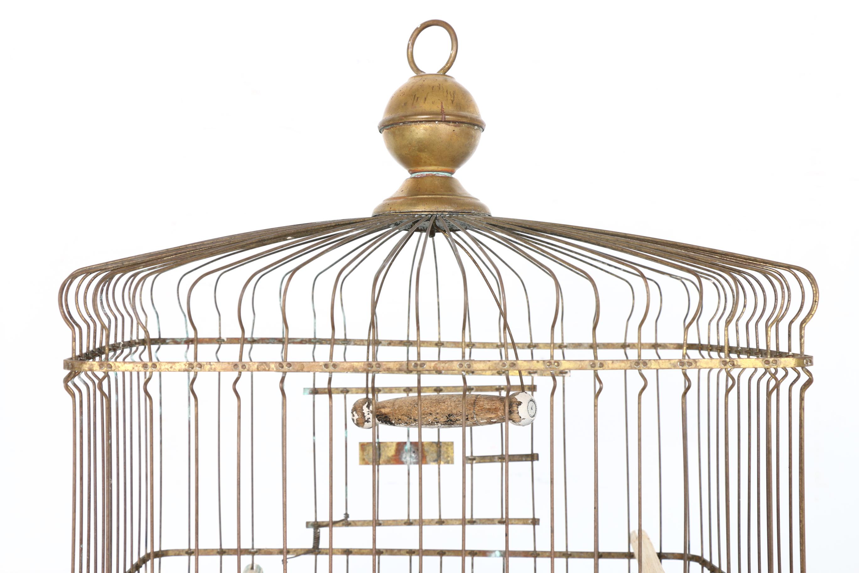Collection of Bird Cages
