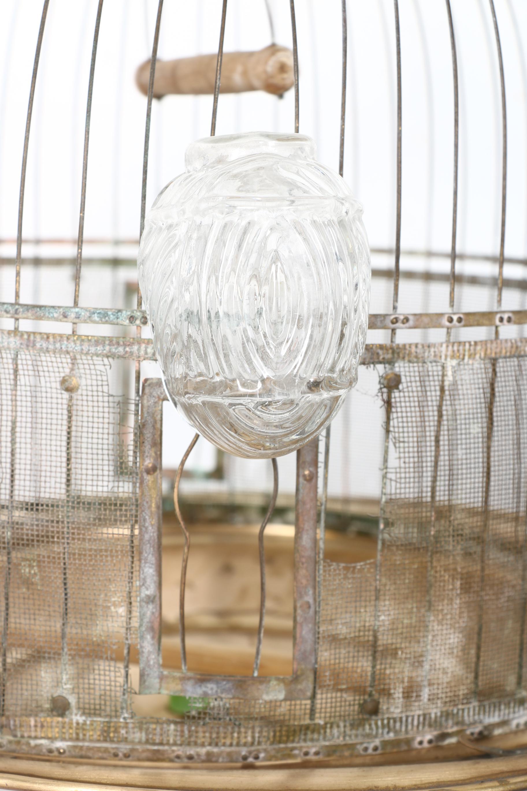 Collection of Bird Cages