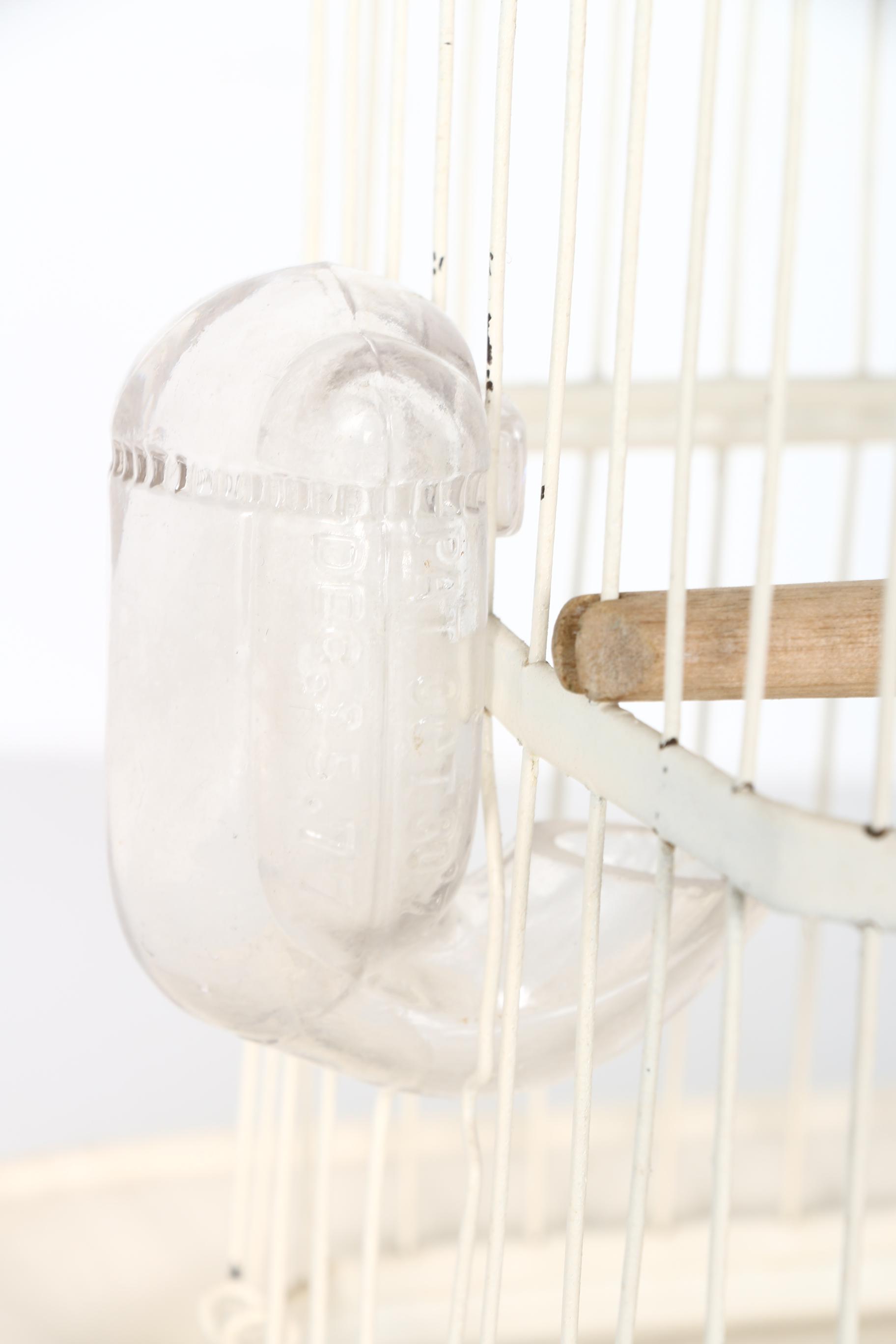 Collection of Bird Cages