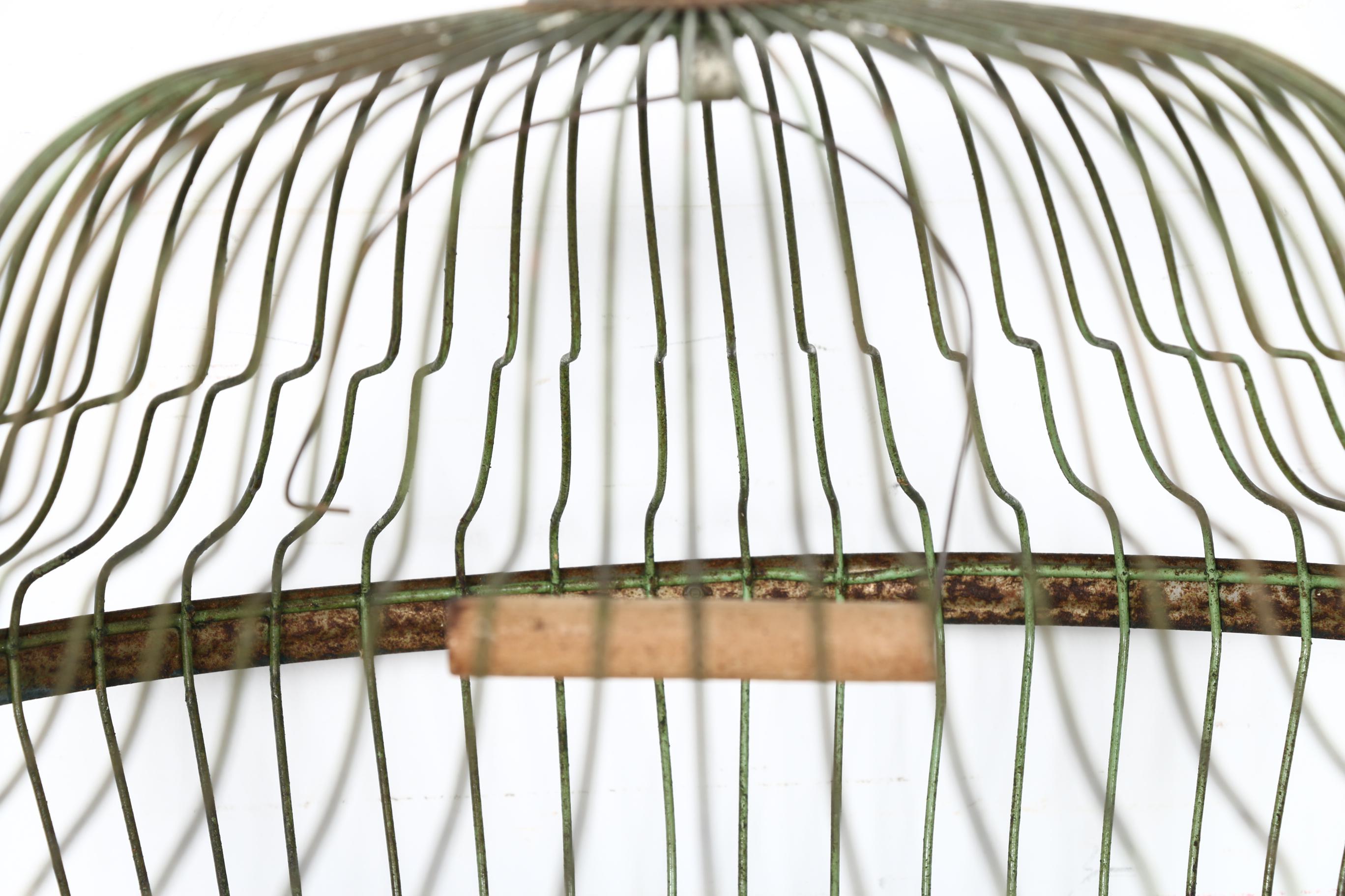 Collection of Bird Cages