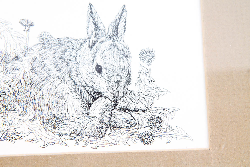 Collection of Lithographs of Woodland Creatures by Snow