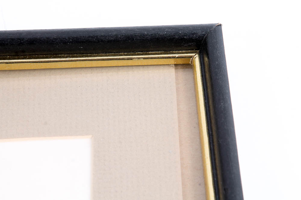 Collection of Lithographs of Woodland Creatures by Snow