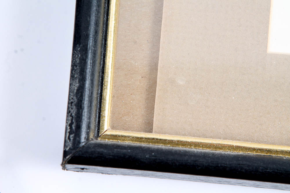 Collection of Lithographs of Woodland Creatures by Snow