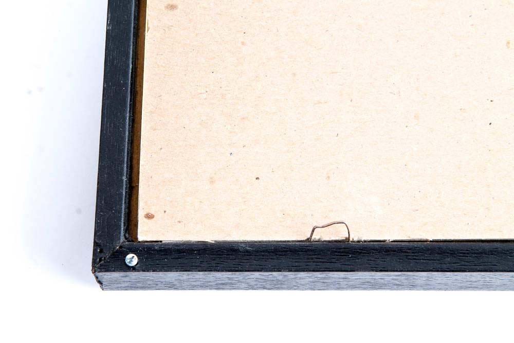 Collection of Lithographs of Woodland Creatures by Snow