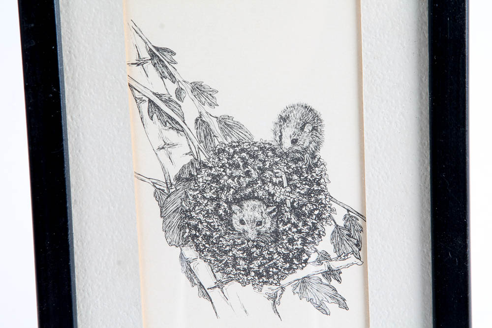 Collection of Lithographs of Woodland Creatures by Snow