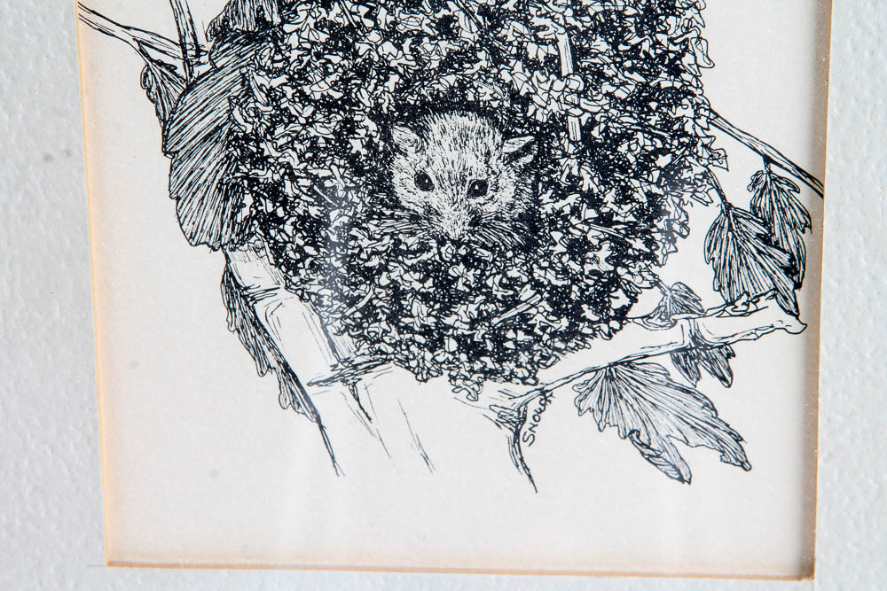 Collection of Lithographs of Woodland Creatures by Snow