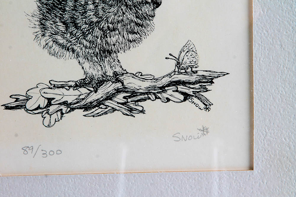 Collection of Lithographs of Woodland Creatures by Snow