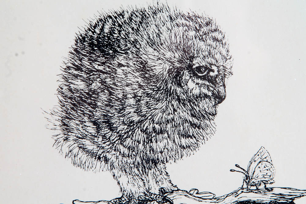 Collection of Lithographs of Woodland Creatures by Snow