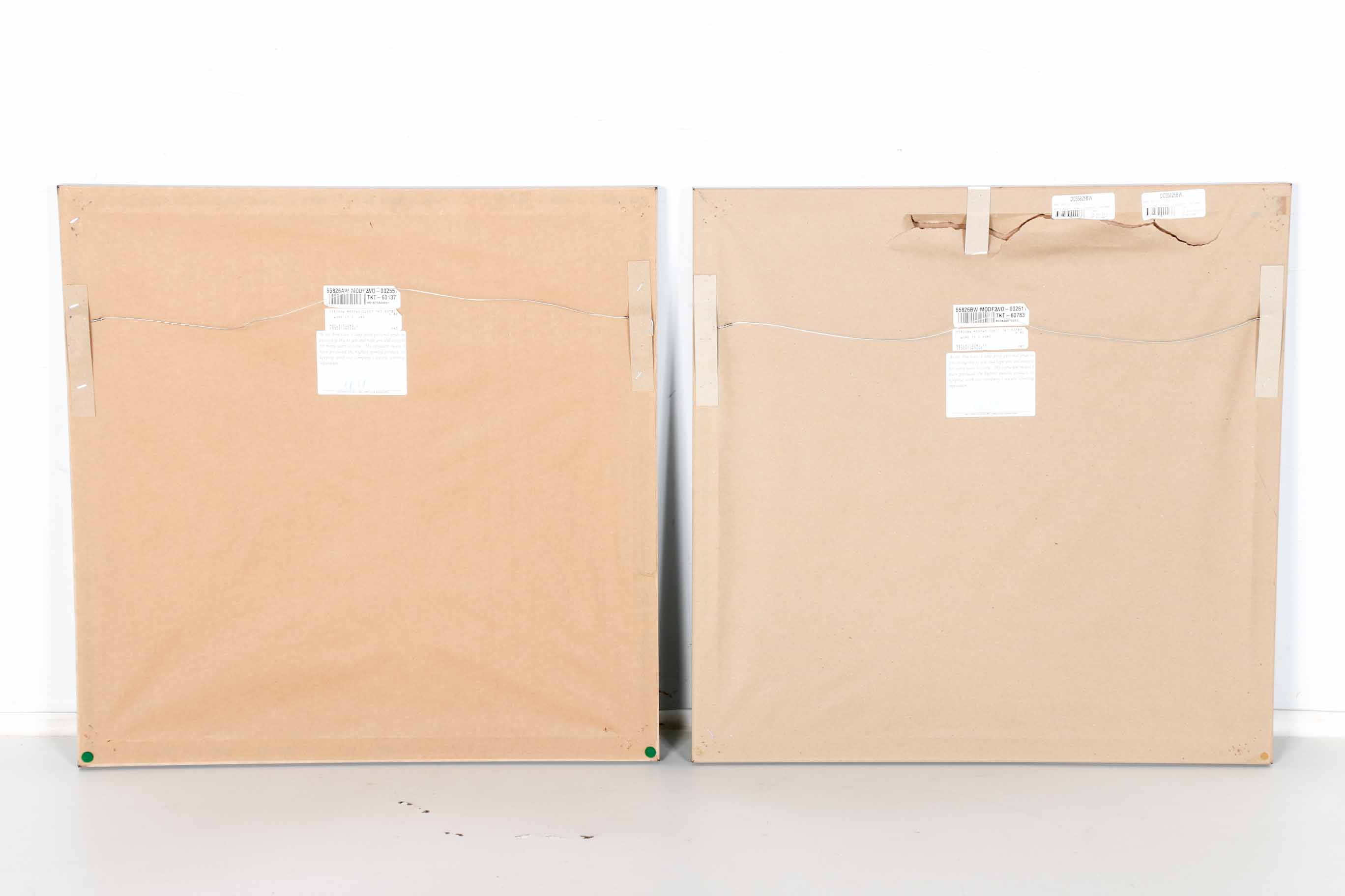 Framed Offset Lithographs After Yuri Tremler "Warm Reflections"