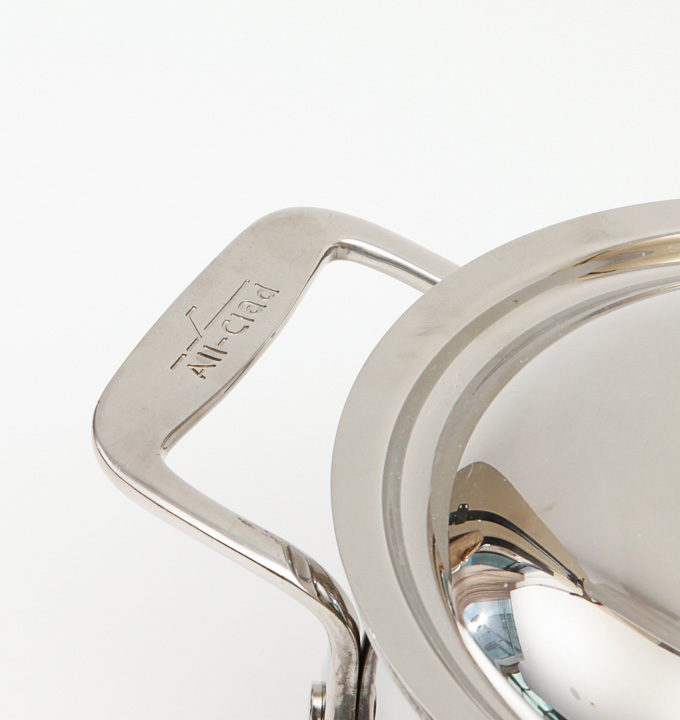 All-Clad Stainless Steel Fish Poacher