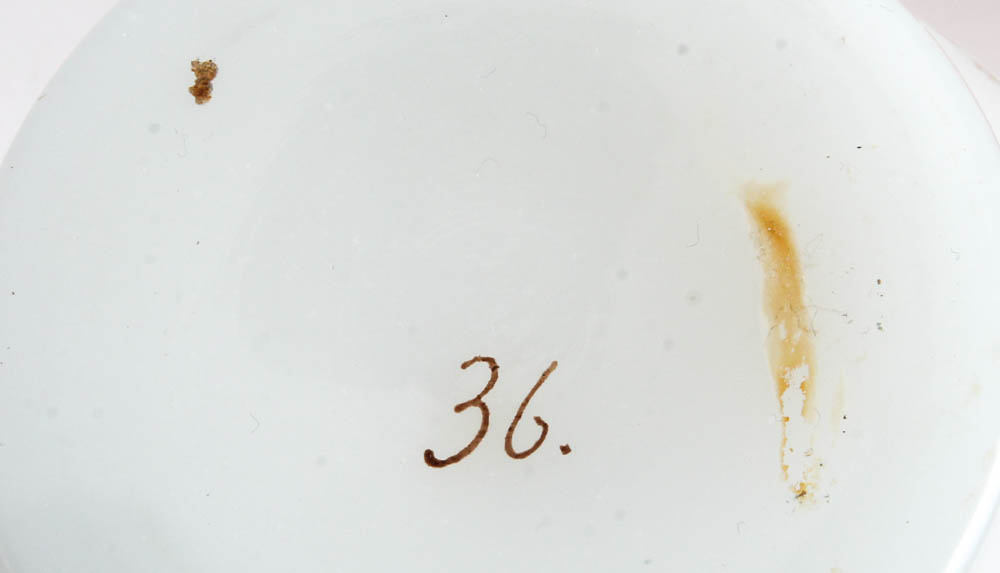 Collection of Glass Vases