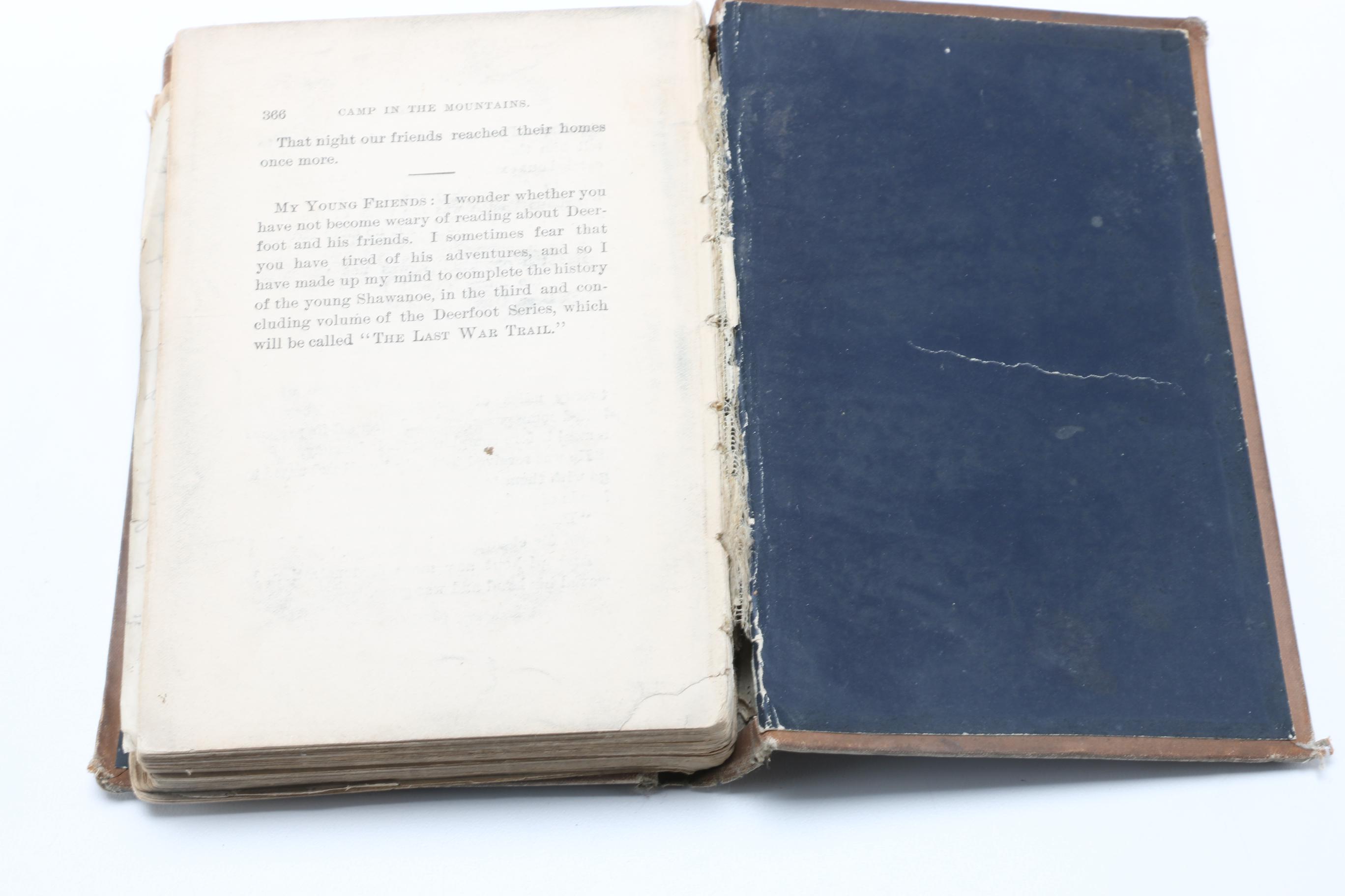 Vintage and Antique Books Including Adventure Novels