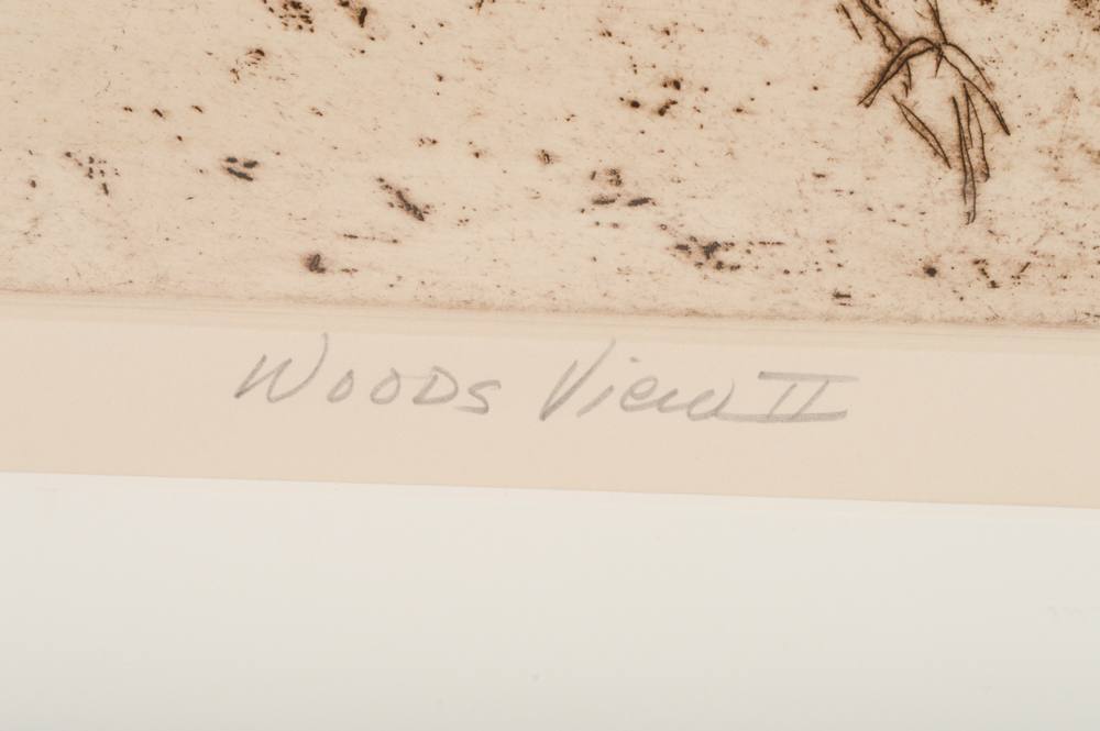 Robert Bero Artist Proof Aquatint Etching "Woods View II"