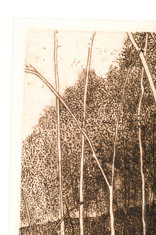 Robert Bero Artist Proof Aquatint Etching "Woods View II"