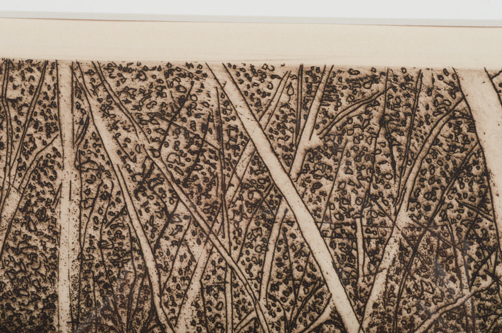 Robert Bero Artist Proof Aquatint Etching "Woods View II"