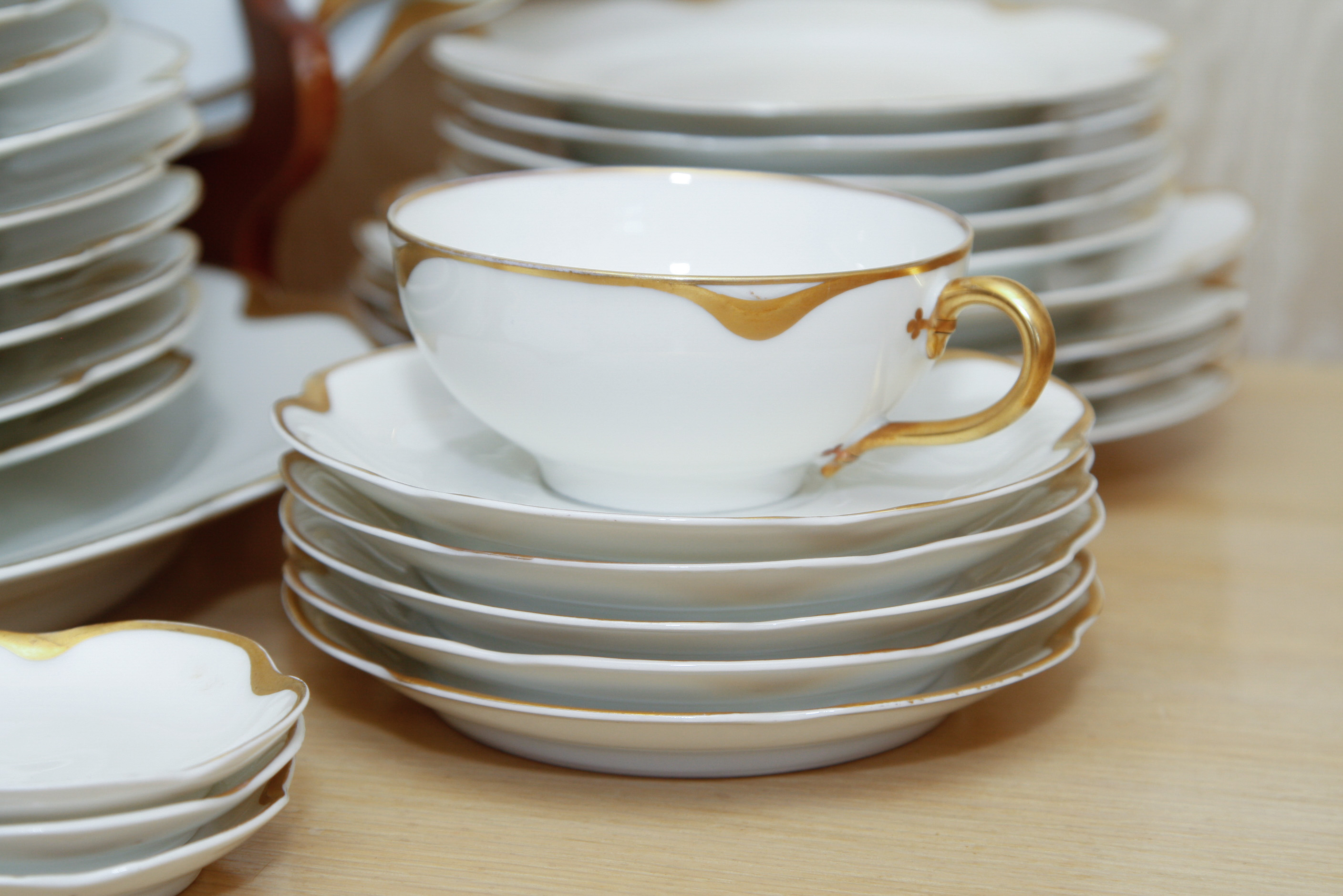 Haviland "Silver Anniversary" Fine China