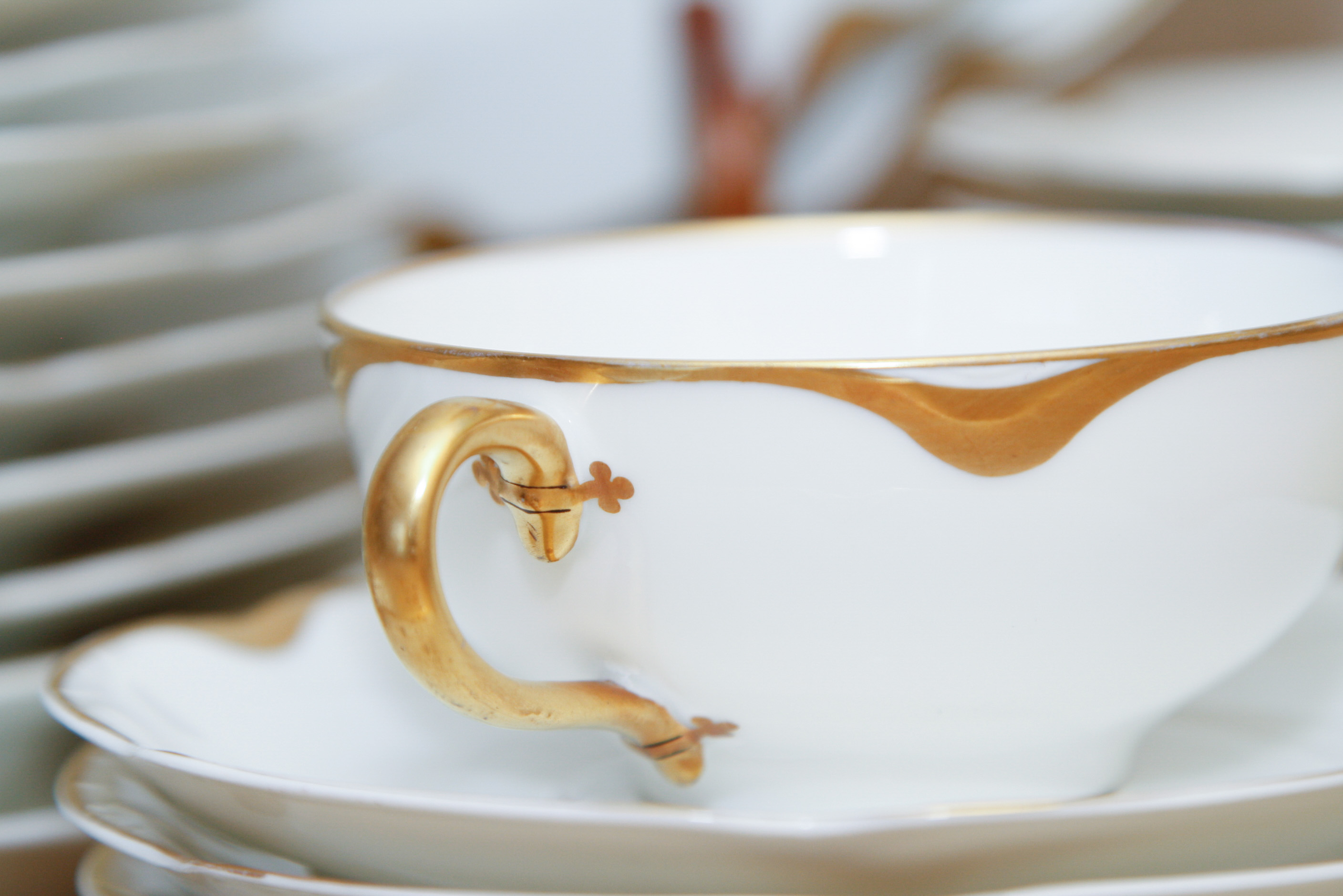 Haviland "Silver Anniversary" Fine China