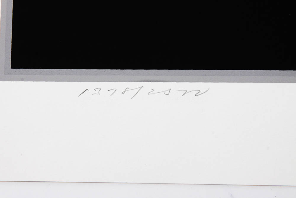 Charley Harper Limited Edition Serigraph "Seeing Red"