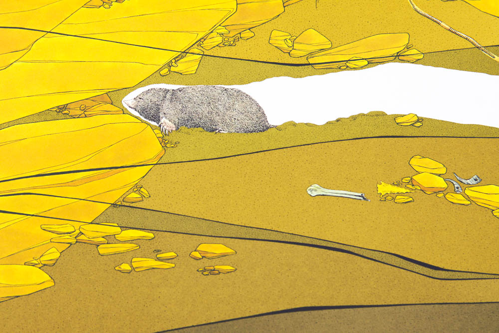 Peter Parnall Reproduction Print