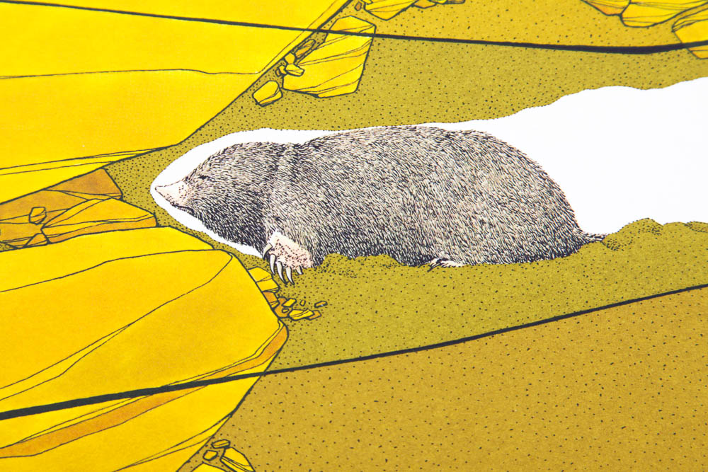 Peter Parnall Reproduction Print