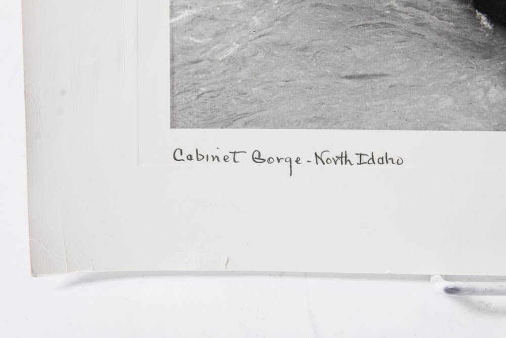 Five Photographic Prints by Ross Hall