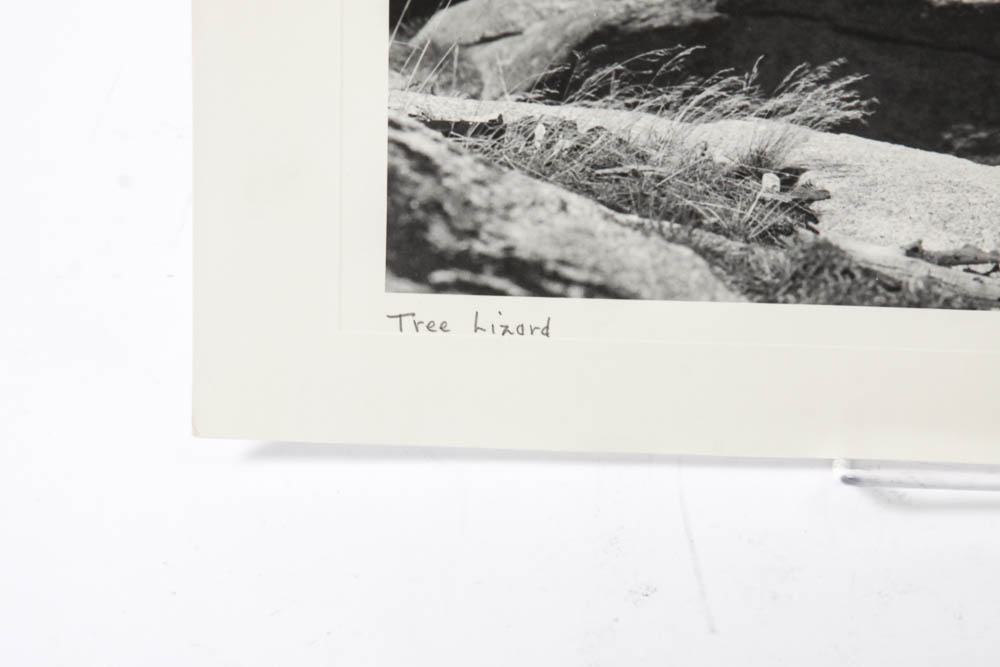 Five Photographic Prints by Ross Hall