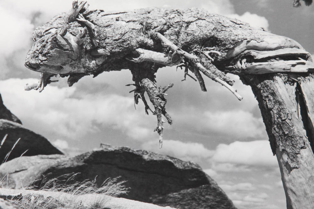 Five Photographic Prints by Ross Hall